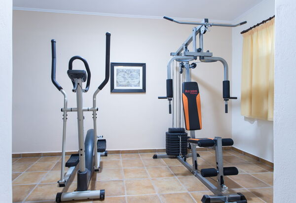 Villa Antina: Деятельность