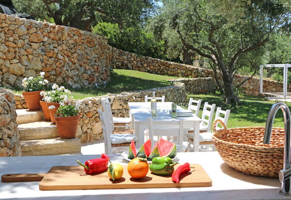 Villa Bluewhite: Jardin