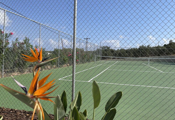 Villa Bluewhite: Activités