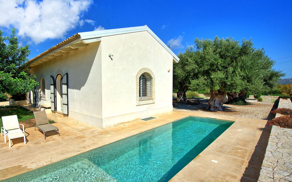 Tenuta Olearum: Pool, Summer