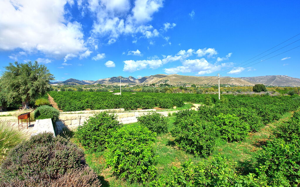 Tenuta Olearum: Outdoor, Scenic View, Summer