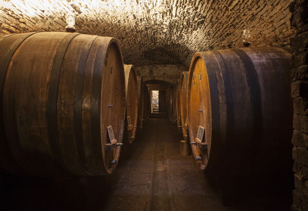 Villa Paneretta: Activities, Amenities