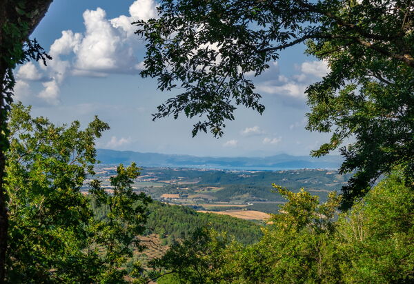 Villa Lucarella: Outdoor