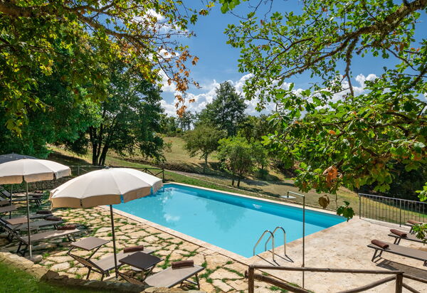 Villa Lucarella: Garden, Outdoor, Pool