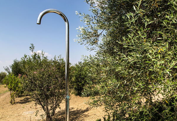 Villa Chiugi: Draussen, Garten