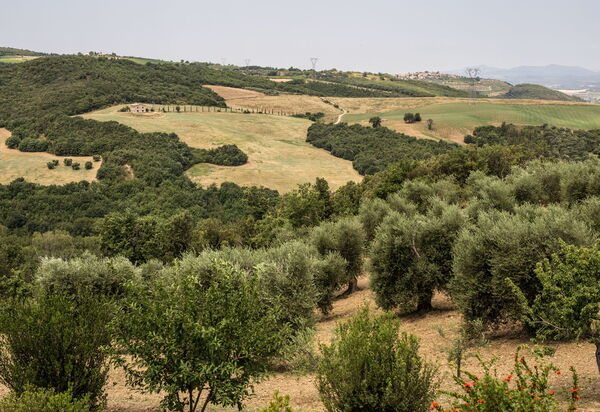 Villa Chiugi: Ansichten