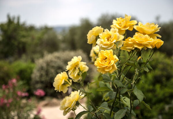 Villa Chiugi: Draussen