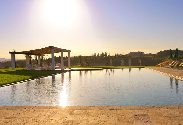 Villa Campana: Garden, Outdoor, Pool, Summer