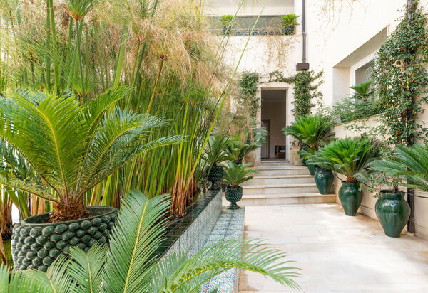 Aurispa: Balcon / Terrasse / Patio, Extérieur