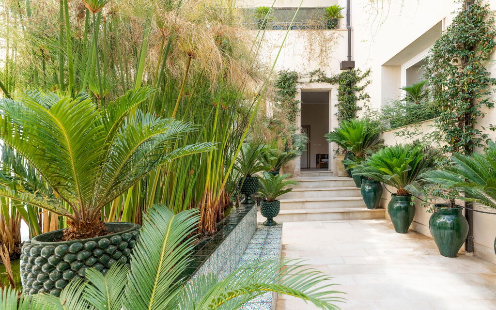 Aurispa: Balcony / Terrace / Patio, Outdoor