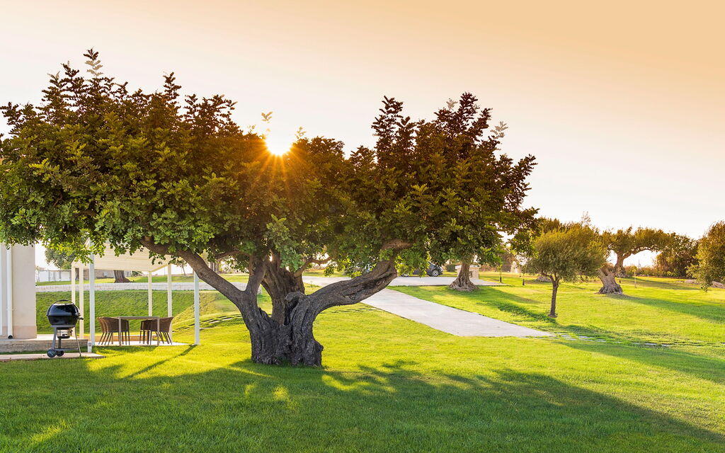 Villa Colleverde: Have