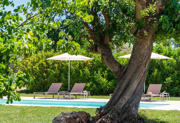 Villa Girasole: Открытый