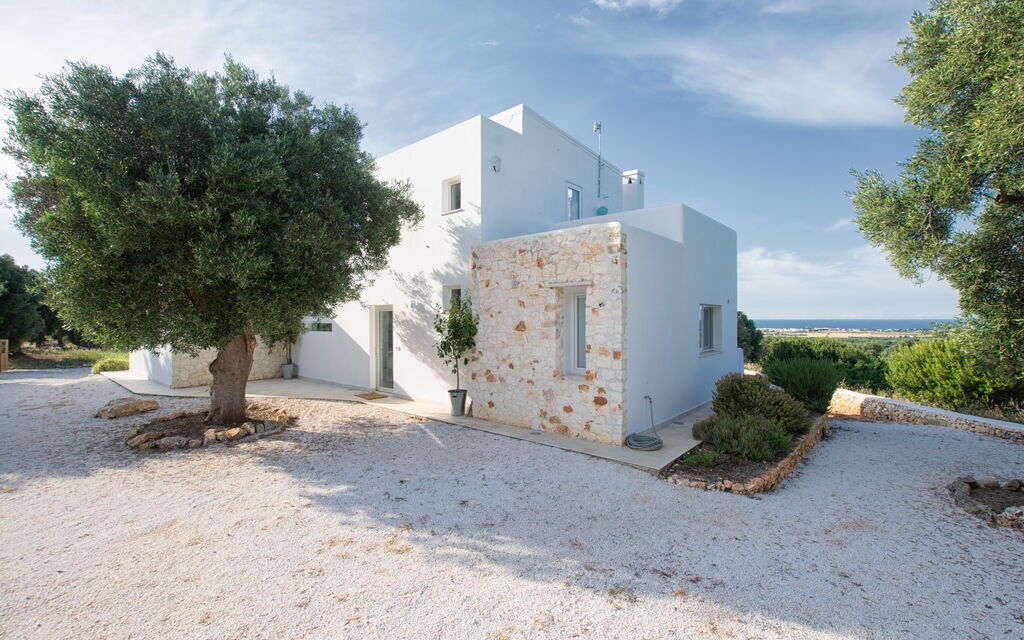 Villa Butterfly