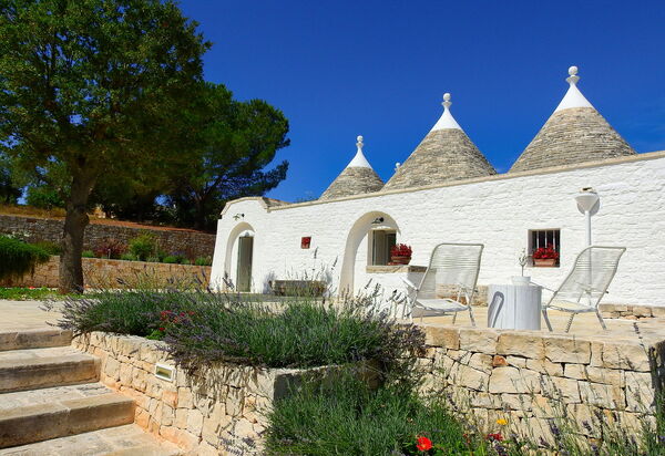 Trullo Oak