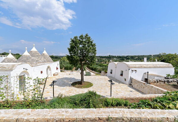 Trullo Oak