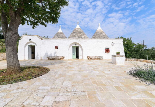 Trullo Oak