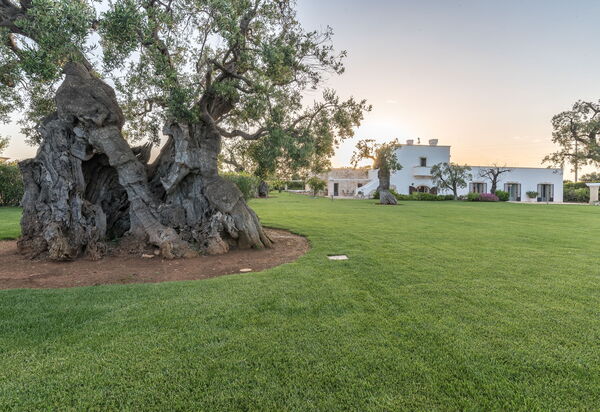 Masseria Villa Il Frantoio