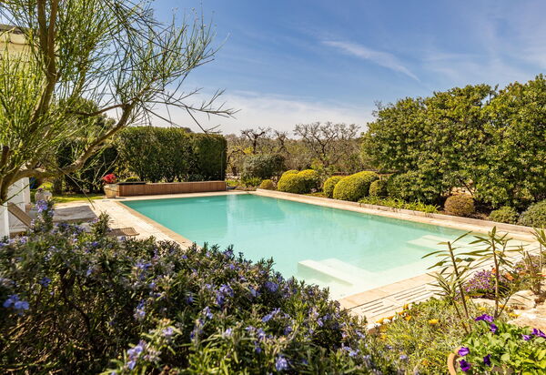 Trullo Patricia Pool: bassin, Jardin