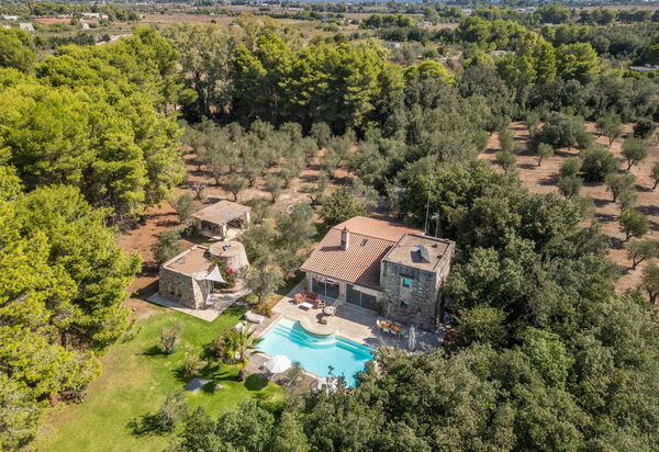 Tenuta Arcadia: бассейн, Взгляды, Сад