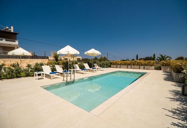 Iris: бассейн, Открытый, Сад