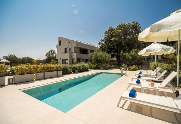 Iris: бассейн, Открытый, Сад