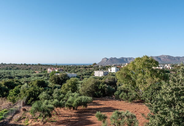 Phaedra: Взгляды