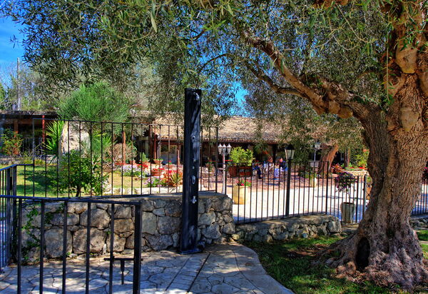 Villa Maddalena: Außen, Draussen