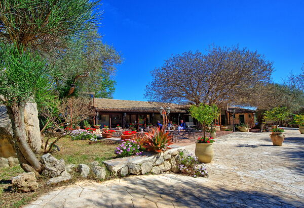 Villa Maddalena: Außen, Draussen, Garten