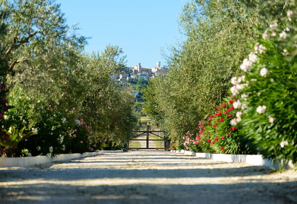 Villa Vittoria: Ansichten, Draussen, Garten