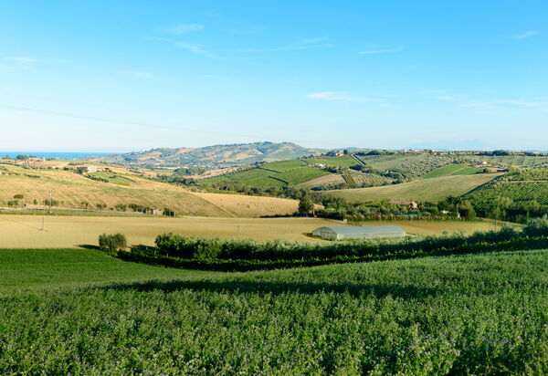 Villa Vittoria: Ansichten, Draussen