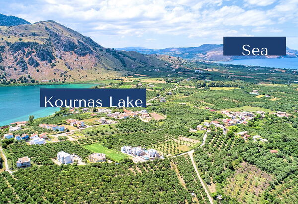 Villa El: Sommer, Udendørs, Visninger