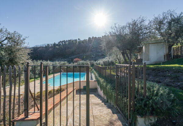 Villa Bellostare: Außen, Draussen, Garten, Schwimmbad