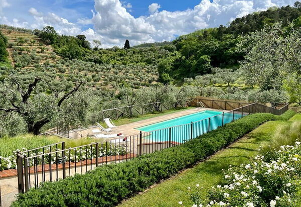 Villa Bellostare: Ansichten, Draussen, Garten, Schwimmbad, Sommer