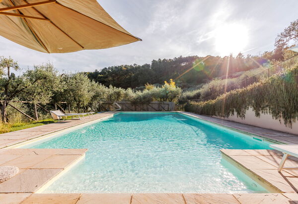 Villa Bellostare: бассейн, Открытый, Сад