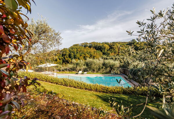 Villa Bellostare: бассейн, Взгляды, Лето, Открытый, Сад