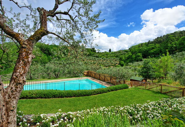 Villa Bellostare: Draussen, Garten, Schwimmbad