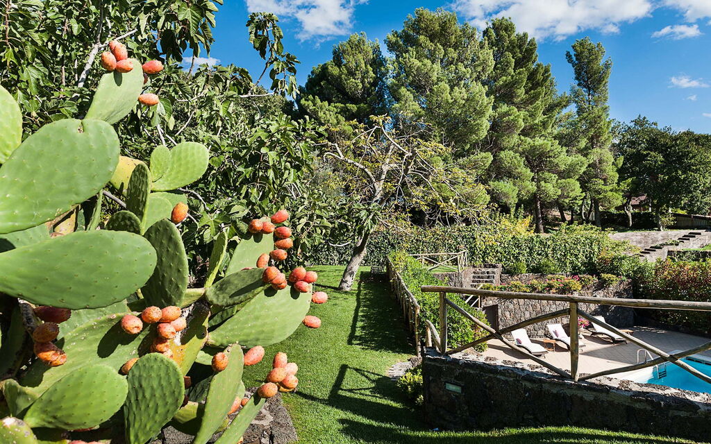 Villa Montefiore: Garden