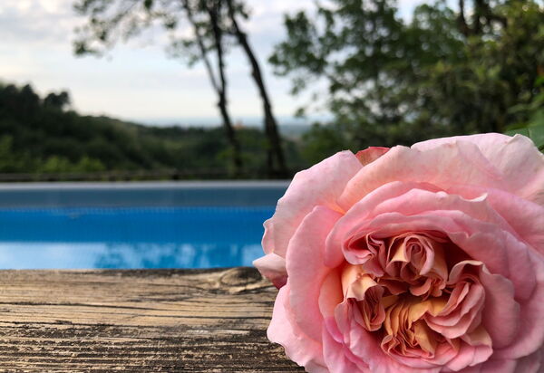 La Nocciola: Draussen, Schwimmbad