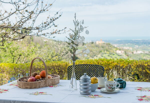 La Nocciola: Ansichten