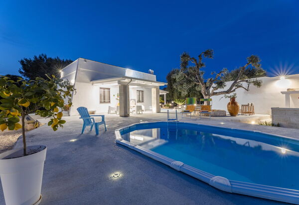 Villa Narkive: Schwimmbad