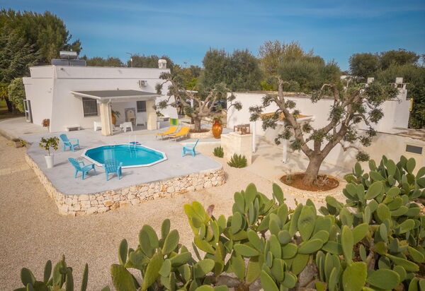 Villa Narkive: Draussen, Garten, Haupteingang