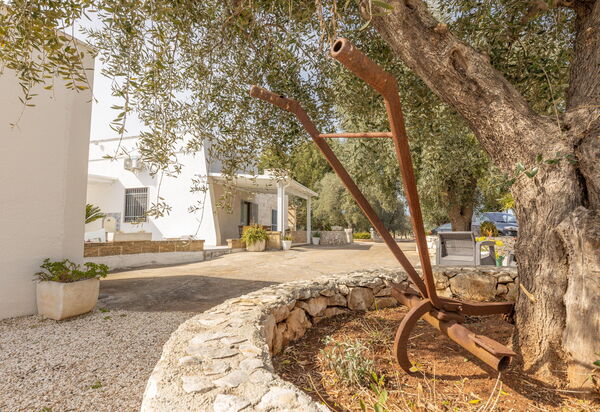 Villa Narkive: Außen, Draussen, Garten