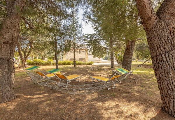 Villa Narkive: Ansichten, Draussen, Garten