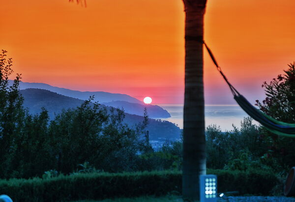 Villa Malu: Ansichten, Außen, Draussen