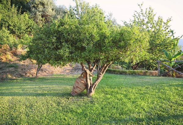 Villa Malu: Außen, Draussen, Garten