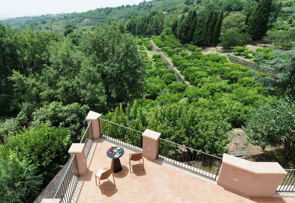 Tenuta Della Contea: Buitenkanten, Buitenshuis, Tuin