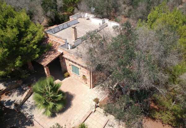 Villa Astrea: Draussen, Garten