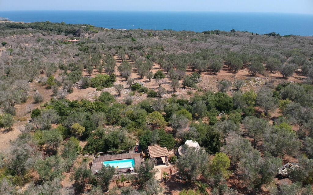 Villa Astrea: Buitenshuis