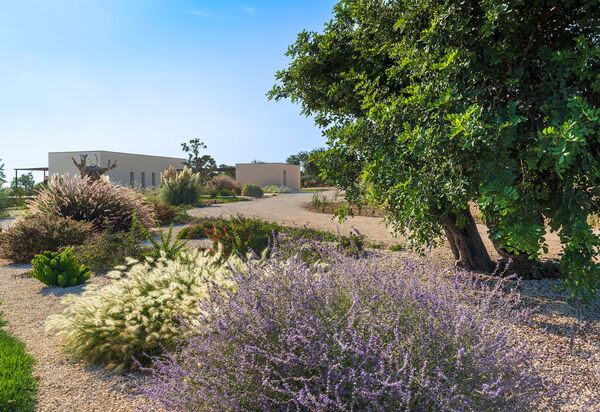 Villa Passo Salina: Garten