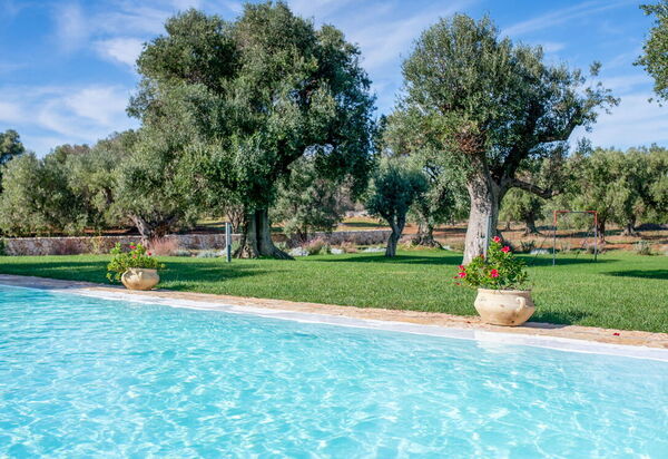 Tenuta Palù: Garten, Schwimmbad